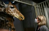 Barbara Pompili en visite au zoo de Vincennes à Paris le 29 septembre 2020