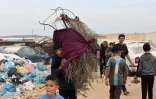 Un garçon porte du bois pour le chauffage et la cuisine à Rafah, dans le sud de la bande de Gaza, le 7 décembre 2023, où une partie de la population du camp de Khan Younis s'est réfugiée pour fuir les combats.