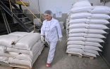 Des sacs de farine entreposés à l'exploitation Tchiorny Khleb ("Pain noir"), le 7 juin 2022 à Khotmanovo, en Russie