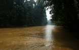 Une rivière qui, selon les habitants, a été polluée par l'extraction de nickel dans une zone forestière du centre de l'île de Halmahera, dans le nord des Moluques, le 17 avril 2025 en Indonésie