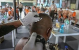 Un détenu, expert en l'art du tatouage, recouvre d'une croix noire le tatouage d'un codétenu qui marque l'appartenance d'un détenu à un gang, le 23 novembre 2020 à la prison de New Bilibid, à Manille, aux Philippines