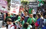 Manifestation antigouvernementale, le 26 avril 2019 Ă Alger