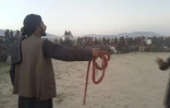 Des fermiers afghans fêtent une récolte de pavot exceptionnelle le 29 avril 2016 à Naqil