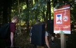 Des randonneurs passent devant devant un panneau "Tous feux interdits" au premier jour de la rĂ©ouverture au public de la forĂȘt de Fontainebleau partiellement dĂ©vastĂ©e par les flammes en juillet, le 22 aoĂ»t 2026 prĂšs d'Avon, en Seine-et-Marne