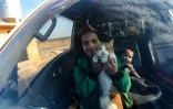 Une jeune déplacée syrienne tient son chat à l'intérieur d'une voiture avant de partir pour un complexe résidentiel, construit près de la ville d'al-Bab, le 9 février 2022 en Syrie 