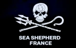 Logo de l'association Sea Shepherd France
