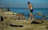 Un homme promène son chien sur la côte près du Malecon de La Havane, le 3 juillet 2020
