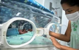 Diana Angola, atteinte par le coronavirus, et son fils Jefferson dans une couveuse Ă la clinique de Versalles, le 23 juin 2020 Ă Cali, en Colombie