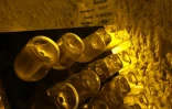 Des bouteilles de cuvées prestigieuses stockées dans une galerie le 20 avril 2016 à Reims