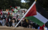 Manifestation propalestinienne dans les rues de Chicago, le 22 août 2024