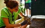 La vétérinaire Cleopatra Gkika examine une tortue à la recherche d'une potentielle blessure, le 29 septembre 2023 à Kalyvia Thorikou, en Grèce 
