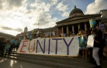 Des partisans de l'Union européenne à Trafalgar Square à Londres le 21 juin 2016