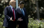 Le président américain Donald Trump (g) et son homologue chinois Xi Jinping à Mar-a-Lago, le 7 avril 2017 à West Palm Beach, en Floride