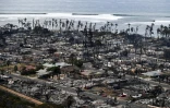 Vue aérienne des maisons détruites par les feux à Lahaina sur l'île de Maui, le 10 août 2023