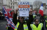 Des militants pro-brexit manifestent à Londres le 26 janvier 2019
