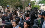 Des policiers texans à cheval tentent de disperser des manifestants pro-palestiniens à l'université du Texas à Austin, le 24 avril 2024