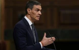 Le Premier ministre espagnol Pedro Sanchez devant le Parlement, le 11 février 2026