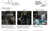 Mission de sauvetage en Thaïlande