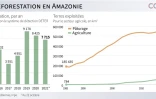 La déforestation en Amazonie