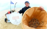 Le scientifique Aurélien Strmsek, membre de l'association "4P Shore & Seas" montre des mégots de cigarettes collectés sur la plage de Contis-les-Bains, dans les Landes, le 17 août 2020