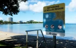 Un panneau d'information concernant la présence de requins, sur la plage de la Baie-des-Citrons, à Nouméa, le 29 avril 2021