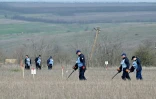 Des démineurs de l'ONG Halo dans un champ du village de Ievguenivka, dans la région de Mykolaïv, le 9 avril 2023 en Ukraine