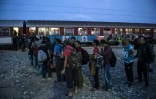 Des migrants attendent pour monter à bord d'un train en direction de la Serbie, le 24 septembre 2015 à Gevgelija, près de la frontière entre la Grèce et la Macédoine