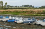 Des bateaux échoués sur un banc de sable au confluent entre le fleuve Tessin et le Pô, près de Linarolo, le 17 juin 2022 