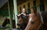 Une palfrenière prépare un cheval pour un écuyer du Cadre Noir de Saumur avant un spectacle matinal, le 5 juin 2025 dans le Maine-et-Loire