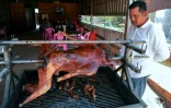 Un homme observe un chien en train de rôtir dans un restaurant de la région de Kampong Cham, au Cambodge, le 26 octobre 2019