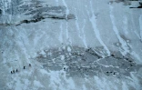 Des alpinistes marchent le long des crevasses du glacier de la Selle dans le massif des Écrins, tôt le matin, le 9 juillet 2025 à Saint-Christophe-en-Oisans, en Isère