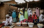 Un groupe de jeunes peules attendent des clients pour vendre des légumes dans une réserve dans l'Etat de Kaduna, au Nigeria, le 17 avril 2019