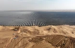Des véhicules préparent le terrain avant l'installation de nouveaux panneaux solaires pour la centrale énergétique de Ningxia, dans le désert de Tengger, en Chine, le 9 décembre 2023