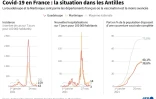 Covid-19 en France : la situation dans les Antilles