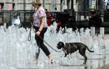 Une femme promène son chien dans une fontaine à Lyon, le 24 juin 2019