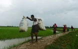 Des réfugiés rohingyas près de Teknaf, au Bangladesh, le 9 septembre 2017