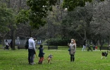 Une famille se promène dans un parc de Bueons Aires le 21 juillet 2020.