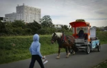 Alexandrine Martin et le cheval Queteur lors d'une collecte de déchets alimentaires, le 16 octobre 2023 à Stains, en Seine-Saint-Denis