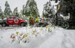 Des pompiers dégagent un arbre tombé sur une route dans les Alpes suisses le 17 avril 2025
