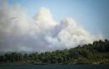Des Canadair se dirigent vers un incendie près de Sigean, dans l'Aude, le 26 juillet 2025