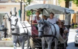 Une femme portant une robe traditionnelle "dirndl" est assise dans une voiture Ă cheval Ă Bad Ischl (Autriche) le 24 juin 2021