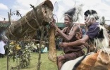 Des apiculteurs traditionnels effectuent une simulation de récolte de miel à partir de ruches  fabriquées dans des troncs d'arbres lors du 6e festival culturel annuel Ogiek dans le quartier de Nkareta du comté de Narok, le 15 août 2025 au Kenya