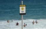 Un panneau prévenant de la présence de requins sur une plage de Newcastle, en Australie, le 17 janvier 2015