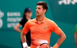 Le Serbe Novak Djokovic, lors de sa finale de l'Open de Serbie, perdue face au Russe Andrey Rublev, le 24 avril 2022 à Belgrade