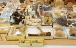 Des objets, et notamment de la poterie, tirés des précédentes fouilles à Jamestown sont ici stockés dans les locaux des conservateurs, le 10 mai 2022