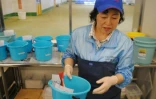Du côté des pêcheurs, les prises de poissons restent bien inférieures au passé