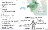 Les dangers de la jungle du Darien