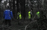 Des gendarmes ratissent la zone où a été retrouvée la carte vitale de Charlotte Troadec le 1er mars 2017 à Dirinon près de Brest
