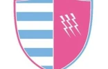 Un logo utilisé pour l'annonce du projet de fusion du Racing 92 (partie gauche) et du Stade Français (partie droite), le 13 mars 2017