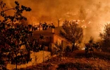 Un incendie de forêt s'approche des maisons du village de Loutró, au sud d'Athènes (Grèce), le 30 septembre 2024
